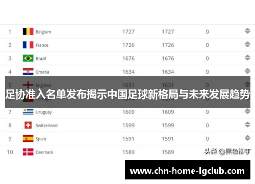足协准入名单发布揭示中国足球新格局与未来发展趋势