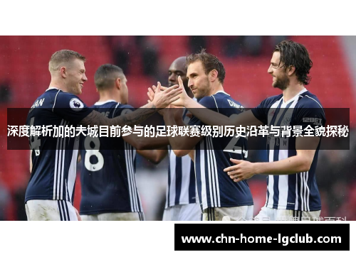 深度解析加的夫城目前参与的足球联赛级别历史沿革与背景全貌探秘