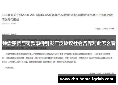魏震禁赛与罚款事件引发广泛热议社会各界对此怎么看