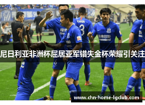 尼日利亚非洲杯屈居亚军错失金杯荣耀引关注