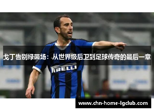 戈丁告别绿茵场：从世界级后卫到足球传奇的最后一章