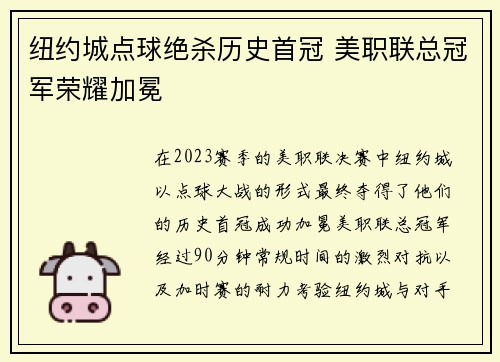 纽约城点球绝杀历史首冠 美职联总冠军荣耀加冕