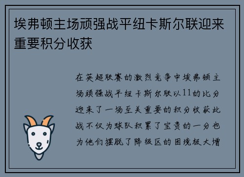 埃弗顿主场顽强战平纽卡斯尔联迎来重要积分收获